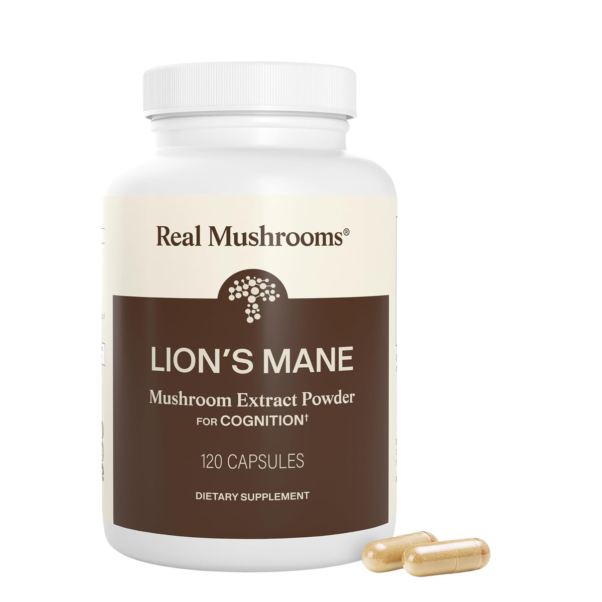 Real Mushrooms Lion’s Mane Mushroom Extract Powder