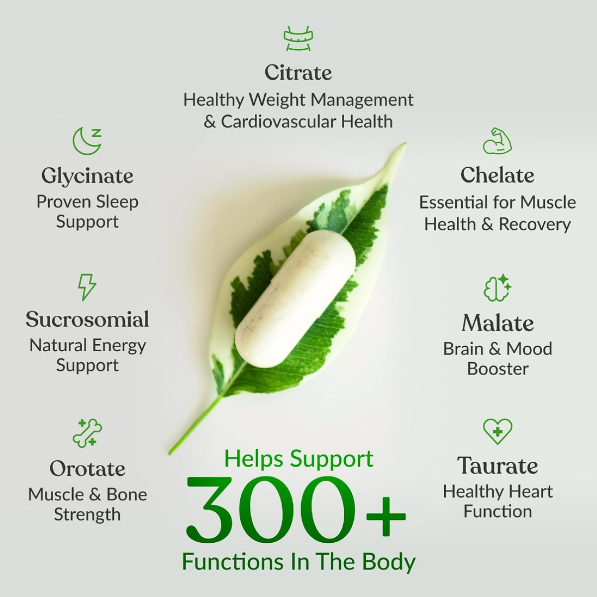 BiOptimizers Magnesium Breakthrough 500mg 7 Forms 60 Veggie Capsules Dietary Supplement